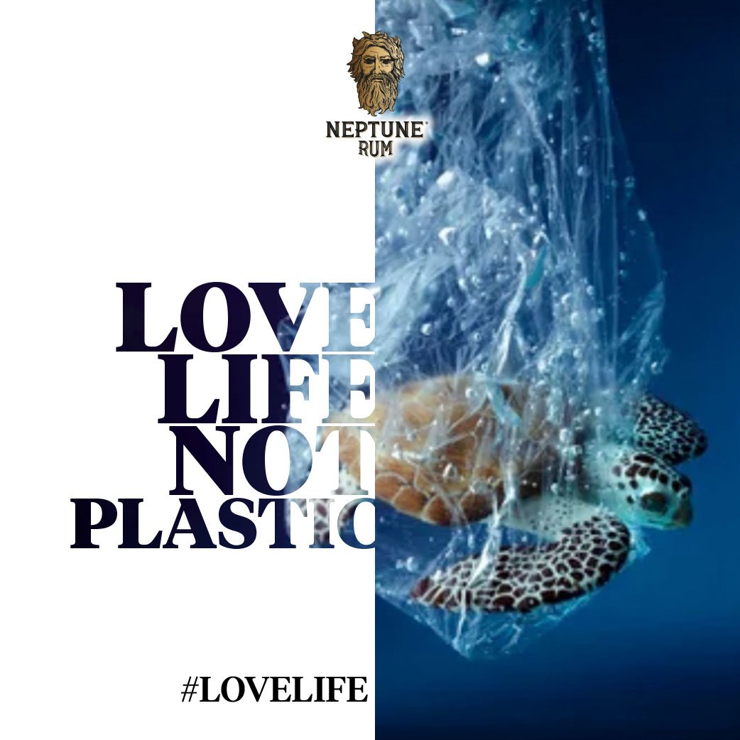 Love-Life-Not-Plastic-Turtle